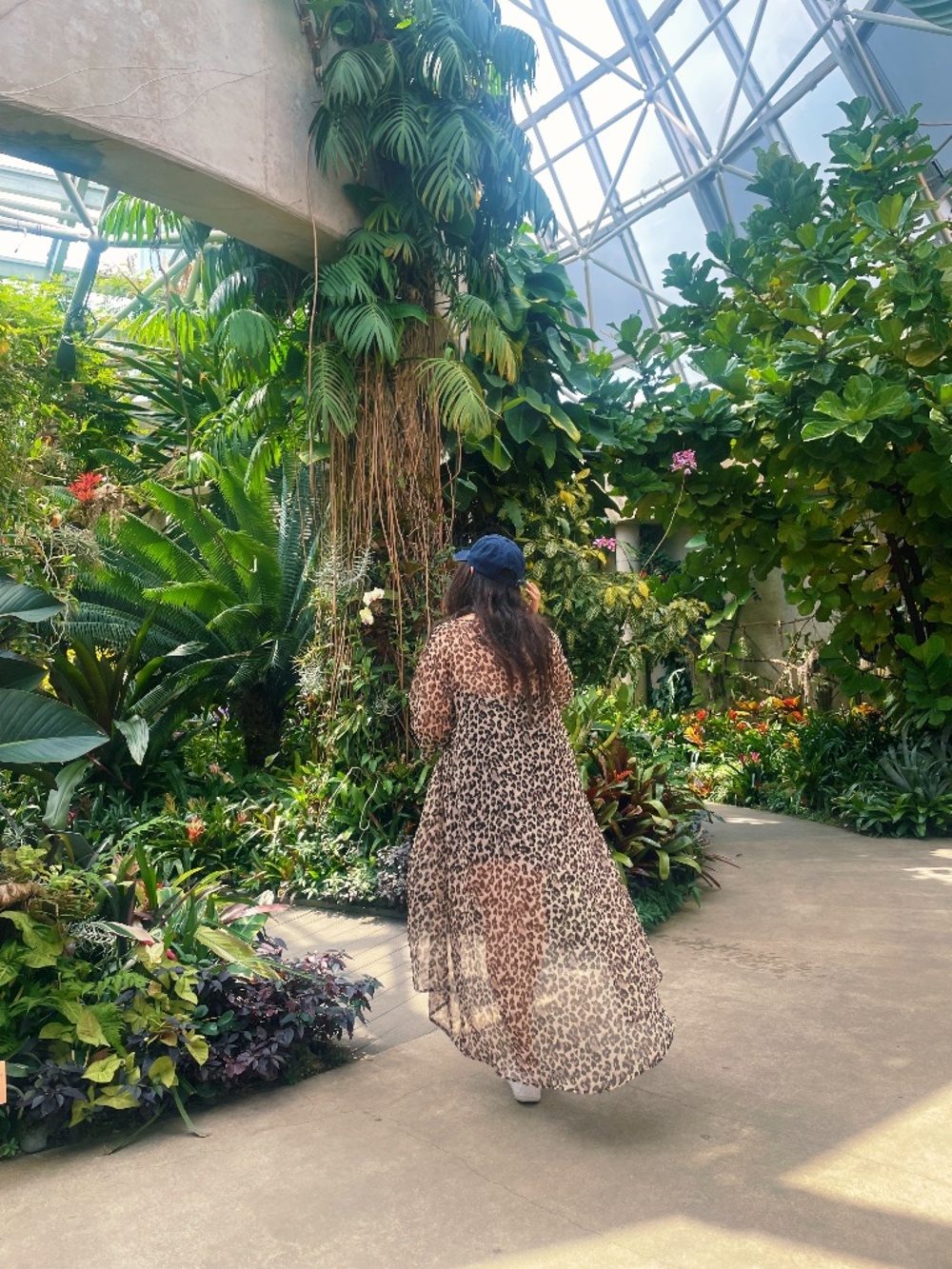 Cheetah kimono